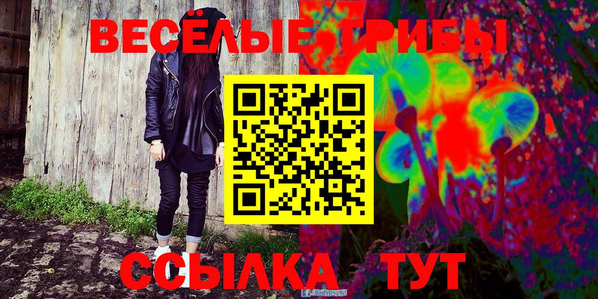 Псилоцибиновые грибы мицелий Бердск