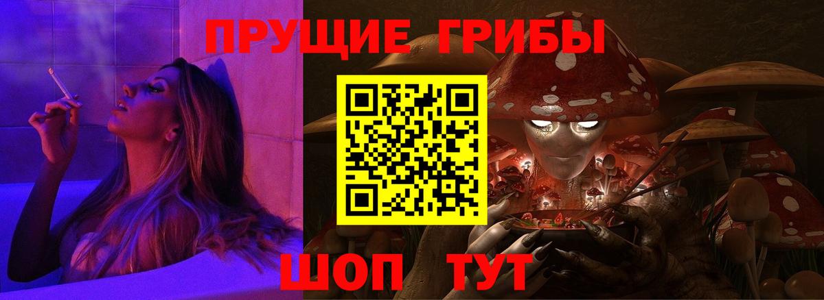 Галлюциногенные грибы Psilocybe  Вход с VPN  Бердск 