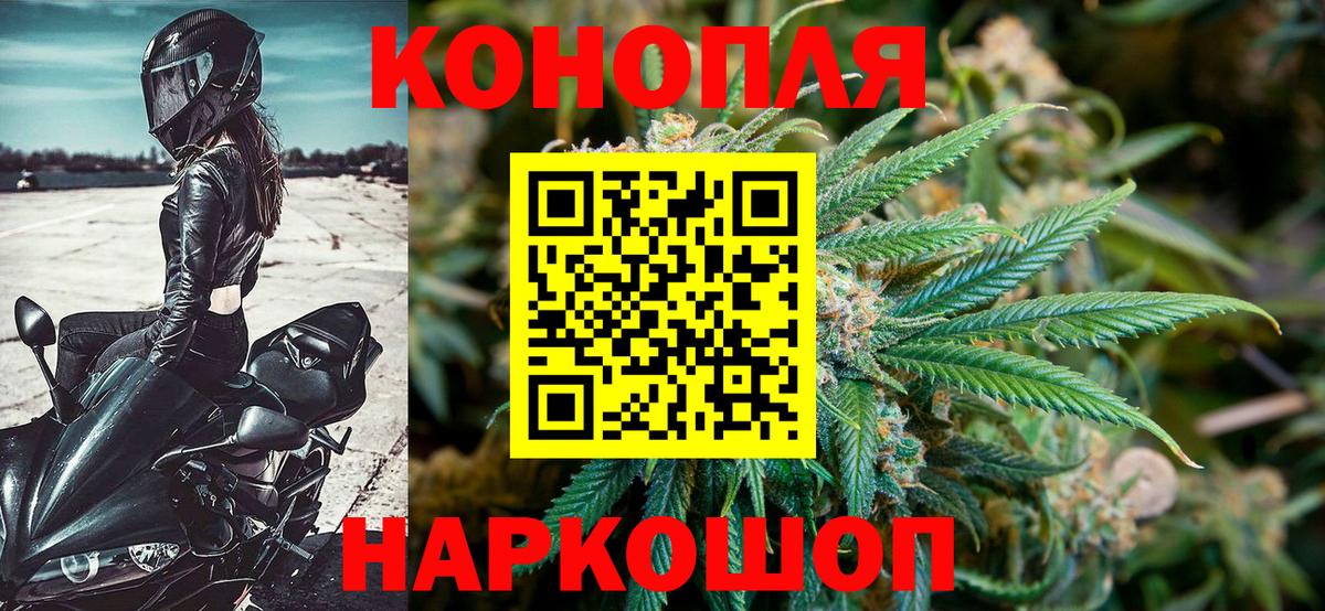 Канабис SATIVA & INDICA Бердск